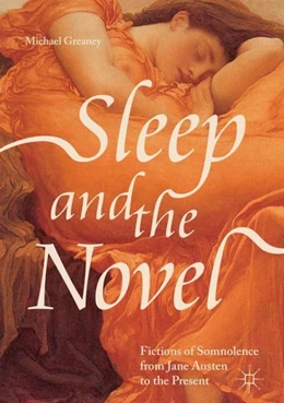 Abbildung von Greaney | Sleep and the Novel | 1. Auflage | 2018 | beck-shop.de