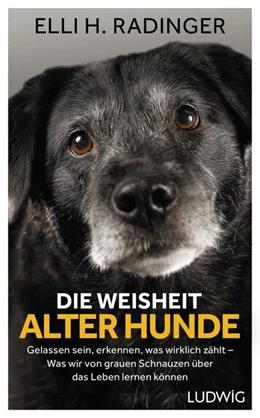 Abbildung von Radinger | Die Weisheit alter Hunde | 1. Auflage | 2018 | beck-shop.de