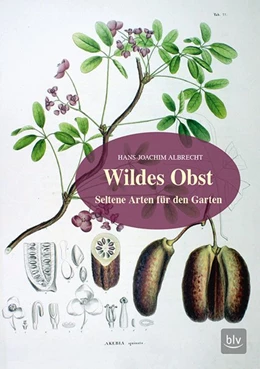 Abbildung von Albrecht | Wildes Obst | 1. Auflage | 2018 | beck-shop.de