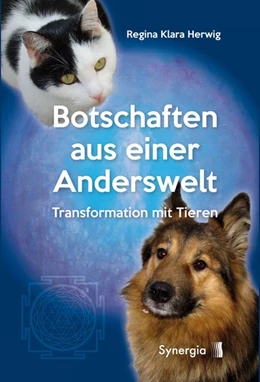 Abbildung von Herwig | Botschaften aus einer Anderswelt | 1. Auflage | 2018 | beck-shop.de