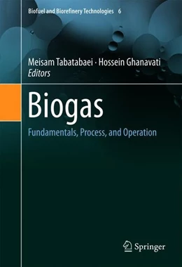 Abbildung von Tabatabaei / Ghanavati | Biogas | 1. Auflage | 2018 | beck-shop.de