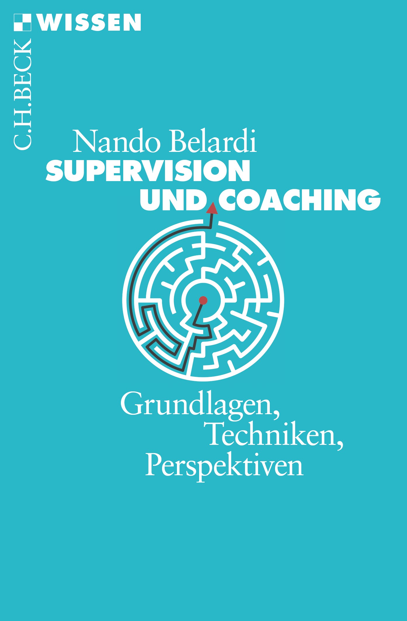 Cover: Belardi, Nando, Supervision und Coaching