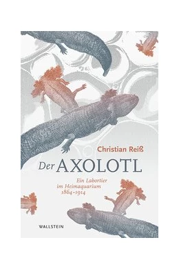 Abbildung von Reiß | Der Axolotl | 1. Auflage | 2020 | beck-shop.de