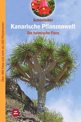Abbildung von Schönfelder | Kanarische Pflanzenwelt | 1. Auflage | 2018 | beck-shop.de