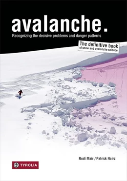 Abbildung von Mair / Nairz | Avalanche. | 1. Auflage | 2018 | beck-shop.de