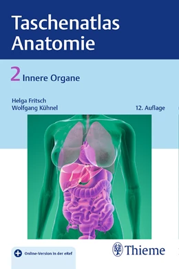 Abbildung von Fritsch / Kühnel | Taschenatlas Anatomie • Band 2: Innere Organe | 12. Auflage | 2018 | beck-shop.de
