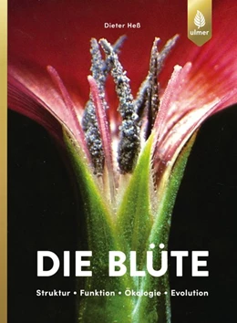 Abbildung von Heß | Die Blüte | 3. Auflage | 2019 | beck-shop.de