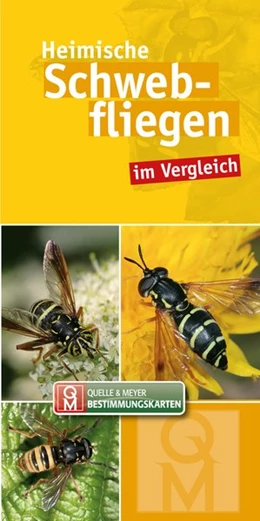 Abbildung von Quelle & Meyer Verlag | Heimische Schwebfliegen | 1. Auflage | 2018 | beck-shop.de