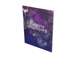 Abbildung von Schaufler-Münch / Bergmann | Sabrina Haunsperg: Werke 2008-2018 | 1. Auflage | 2018 | beck-shop.de