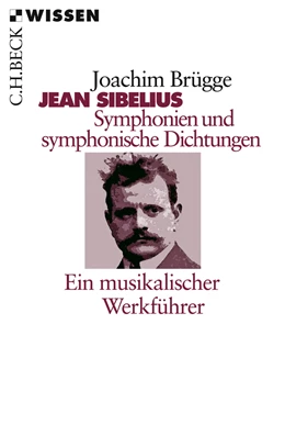 Abbildung von Brügge, Joachim | Jean Sibelius. Symphonien und symphonische Dichtungen | 1. Auflage | 2009 | 2219 | beck-shop.de