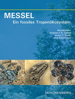 Abbildung von Schaal / Smith | MESSEL - Ein fossiles Tropenökosystem | 1. Auflage | 2018 | 79 | beck-shop.de