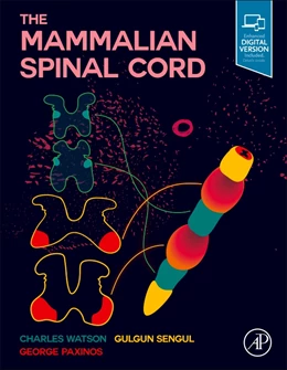 Abbildung von Watson / Sengul | The Mammalian Spinal Cord | 1. Auflage | 2022 | beck-shop.de