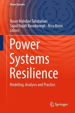 Abbildung von Mahdavi Tabatabaei / Najafi Ravadanegh | Power Systems Resilience | 1. Auflage | 2018 | beck-shop.de