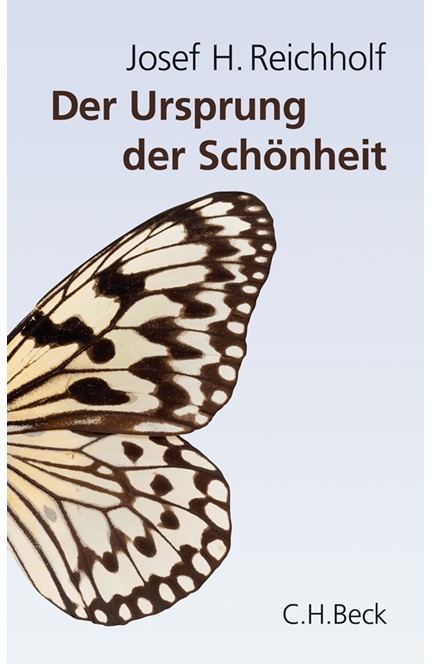 Cover: Josef H. Reichholf, Der Ursprung der Schönheit
