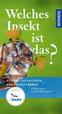 Abbildung von Bellmann | Welches Insekt ist das? | 1. Auflage | 2019 | beck-shop.de