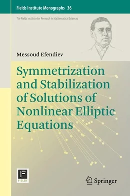 Abbildung von Efendiev | Symmetrization and Stabilization of Solutions of Nonlinear Elliptic Equations | 1. Auflage | 2018 | beck-shop.de