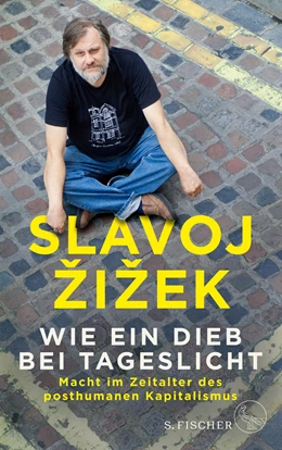 Abbildung von Zizek | Wie ein Dieb bei Tageslicht | 1. Auflage | 2019 | beck-shop.de