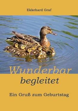 Abbildung von Graf | Wunderbar begleitet | 1. Auflage | 2019 | beck-shop.de