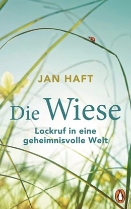 Abbildung von Haft | Die Wiese | 1. Auflage | 2019 | beck-shop.de