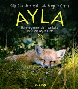 Abbildung von Matnisdal / Grøtte | Ayla - meine ungewöhnliche Freundschaft mit einem jungen Fuchs | 1. Auflage | 2019 | beck-shop.de