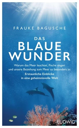 Abbildung von Bagusche | Das blaue Wunder | 1. Auflage | 2019 | beck-shop.de