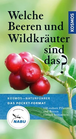 Abbildung von Dreyer | Welche Beeren und Wildkräuter sind das? | 1. Auflage | 2019 | beck-shop.de