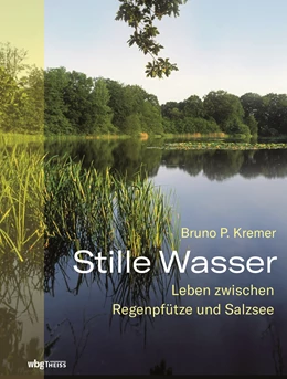 Abbildung von Kremer | Stille Wasser | 1. Auflage | 2019 | beck-shop.de