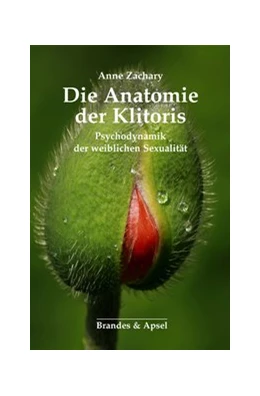 Abbildung von Zachary | Die Anatomie der Klitoris | 1. Auflage | 2019 | beck-shop.de