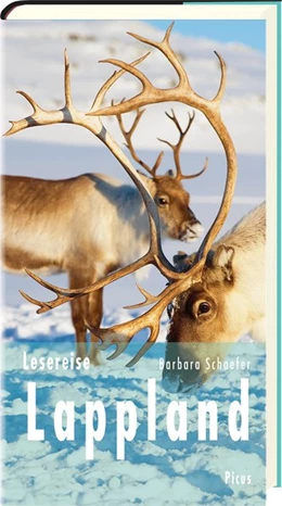 Abbildung von Schaefer | Lesereise Lappland | 1. Auflage | 2019 | beck-shop.de