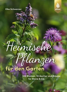 Abbildung von Schwarzer | Heimische Pflanzen für den Garten | 1. Auflage | 2019 | beck-shop.de