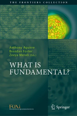 Abbildung von Aguirre / Foster | What is Fundamental? | 1. Auflage | 2019 | beck-shop.de