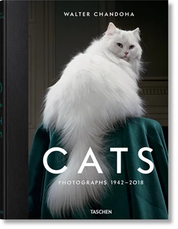 Abbildung von Michals / Golden | Walter Chandoha. Cats. Photographs 1942–2018 | 1. Auflage | 2019 | beck-shop.de