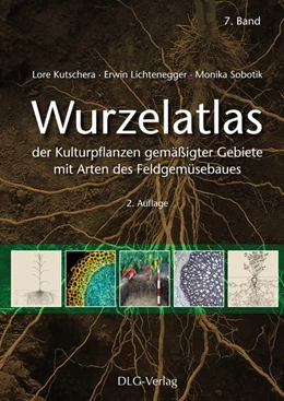 Abbildung von Kutschera / Lichtenegger | Wurzelatlas der Kulturpflanzen gemäßigter Gebiete mit Arten des Feldgemüsebaues | 2. Auflage | 2018 | beck-shop.de