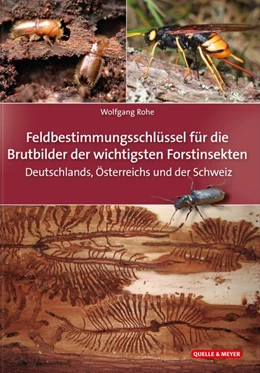 Abbildung von Rohe | Die Brutbilder der wichtigsten Forstinsekten | 1. Auflage | 2019 | beck-shop.de