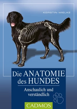 Abbildung von Mielke | Die Anatomie des Hundes | 4. Auflage | 2019 | beck-shop.de