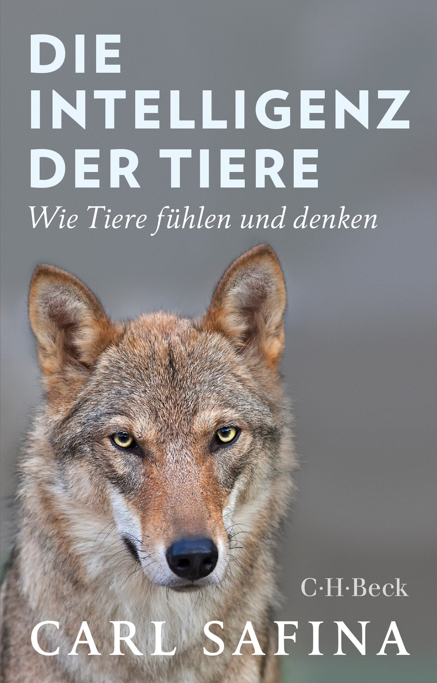 Cover: Safina, Carl, Die Intelligenz der Tiere