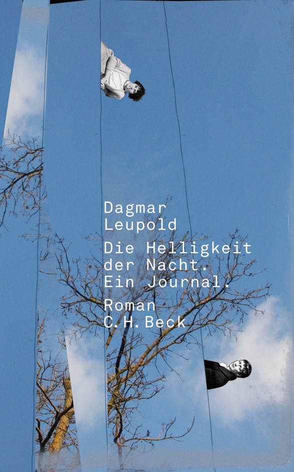 Cover: Leupold, Dagmar, Die Helligkeit der Nacht