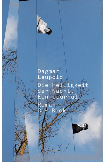 Cover: Dagmar Leupold, Die Helligkeit der Nacht