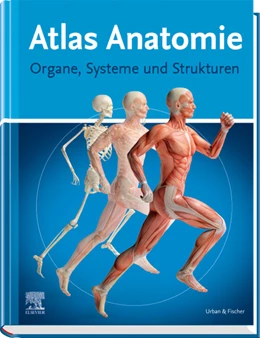 Abbildung von Atlas Anatomie | 1. Auflage | 2019 | beck-shop.de