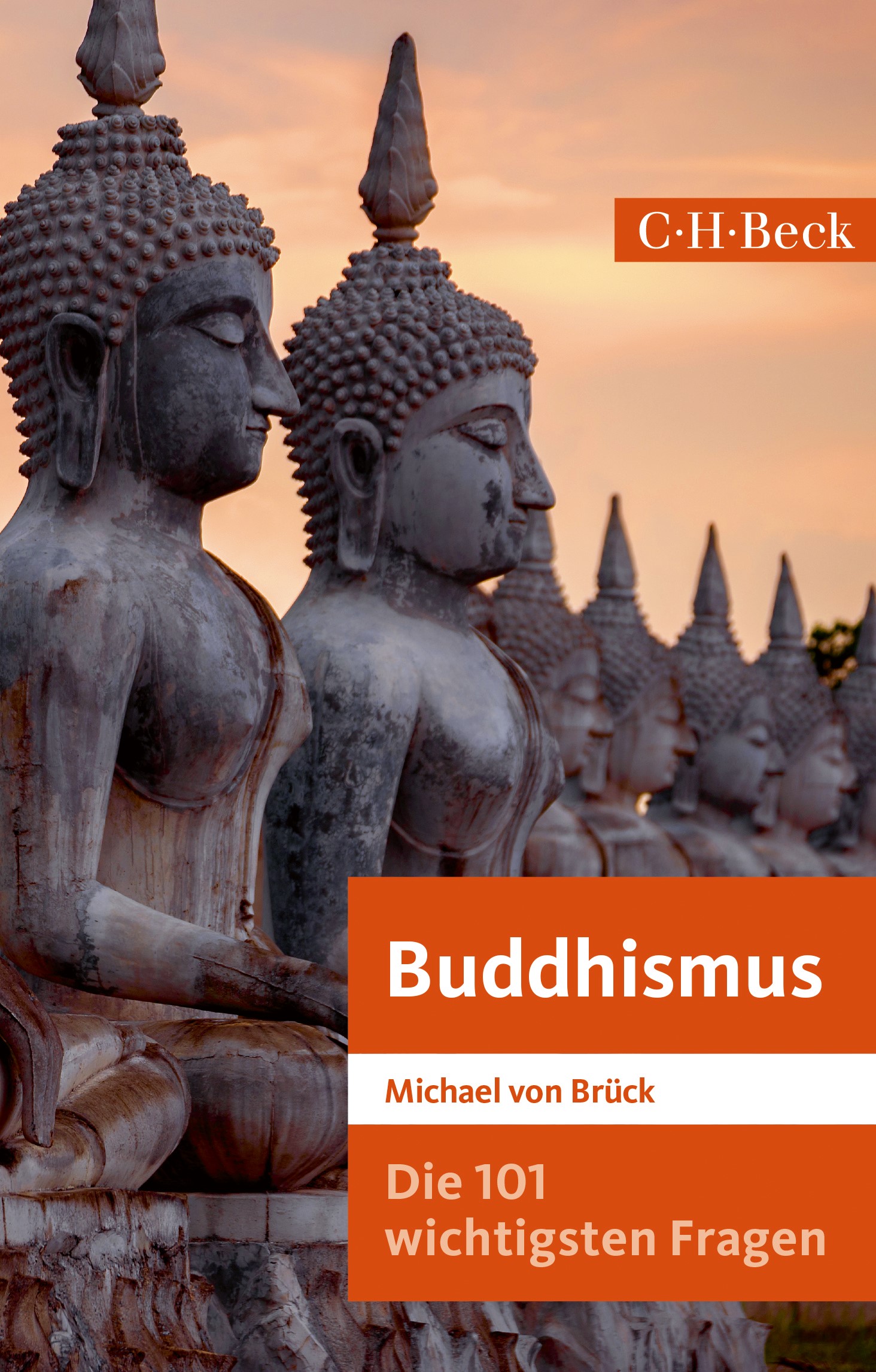Cover: Brück, Michael von, Die 101 wichtigsten Fragen: Buddhismus