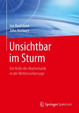 Abbildung von Roulstone / Norbury | Unsichtbar im Sturm | 1. Auflage | 2019 | beck-shop.de