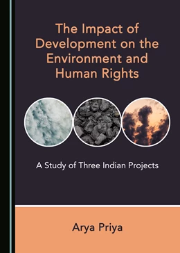Abbildung von The Impact of Development on the Environment and Human Rights | 1. Auflage | 2019 | beck-shop.de
