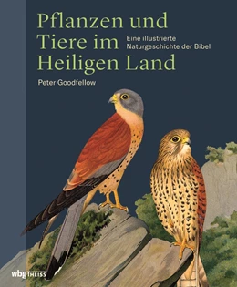 Abbildung von Goodfellow | Pflanzen und Tiere im Heiligen Land | 1. Auflage | 2019 | beck-shop.de
