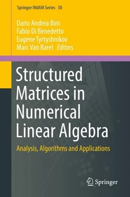 Abbildung von Bini / Di Benedetto | Structured Matrices in Numerical Linear Algebra | 1. Auflage | 2019 | beck-shop.de