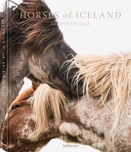 Abbildung von Laiz | Horses of Iceland | 1. Auflage | 2019 | beck-shop.de