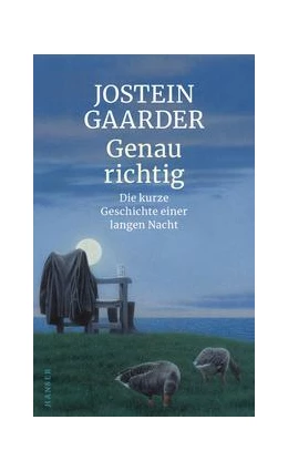 Abbildung von Gaarder | Genau richtig | 1. Auflage | 2019 | beck-shop.de