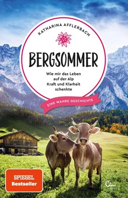 Abbildung von Afflerbach | Bergsommer | 1. Auflage | 2019 | beck-shop.de