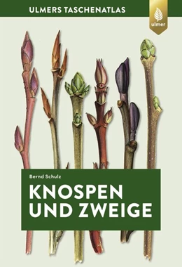 Abbildung von Schulz | Knospen und Zweige | 1. Auflage | 2019 | beck-shop.de