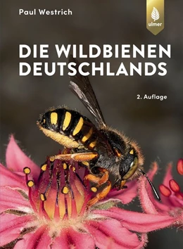 Abbildung von Westrich | Die Wildbienen Deutschlands | 2. Auflage | 2019 | beck-shop.de