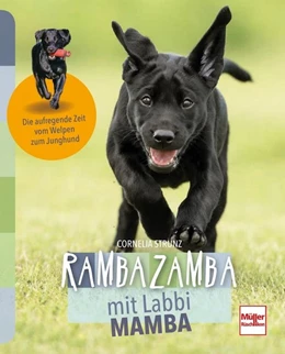Abbildung von Strunz | Rambazamba mit Labbi Mamba | 1. Auflage | 2019 | beck-shop.de